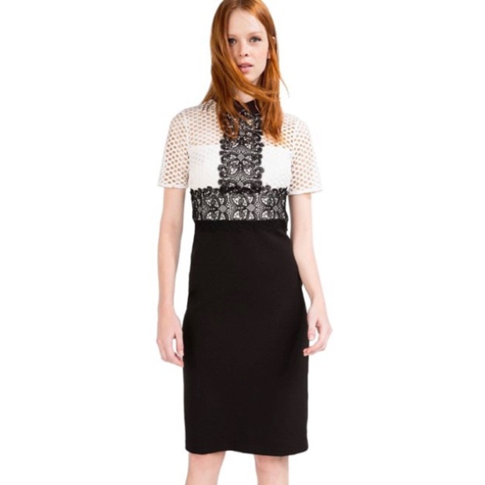 Zara Black White Embroidered Lace Cocktail Dress